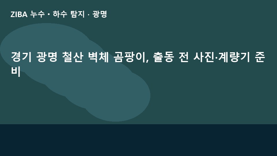 경기 광명 철산 벽체 곰팡이, 출동 전 사진·계량기 준비