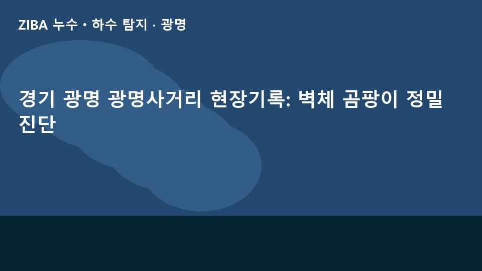 경기 광명 광명사거리 현장기록: 벽체 곰팡이 정밀 진단