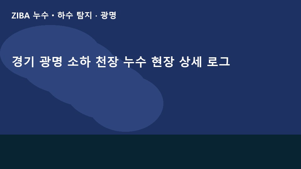 경기 광명 소하 천장 누수 현장 상세 로그